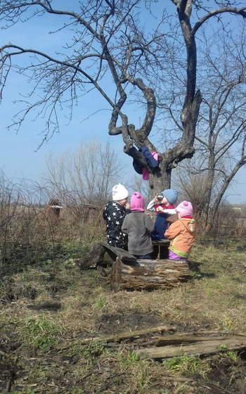 Деревенька