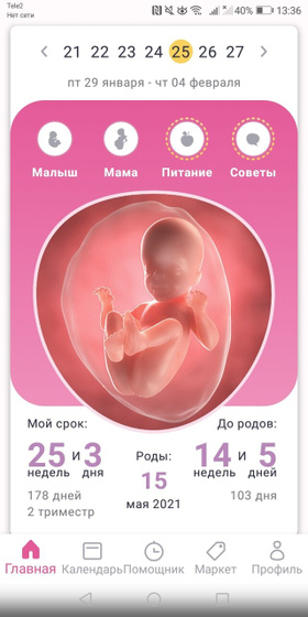 26-я неделя