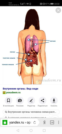 К какому врачу обратится?