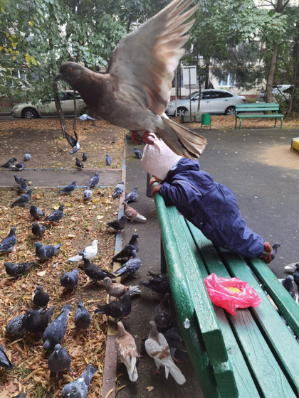 А говорили аисты приносят ??♀️?