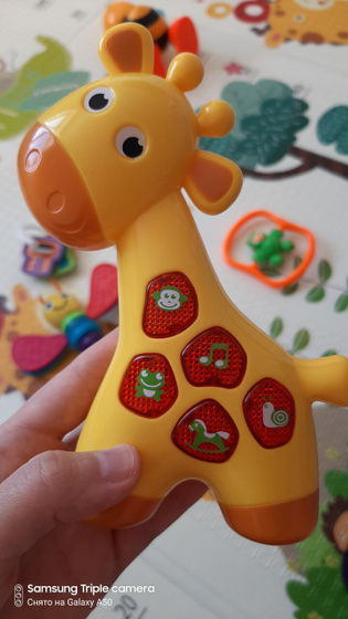 Какие любимые игрушки у