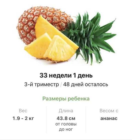 3️⃣3️⃣ недели 💜.