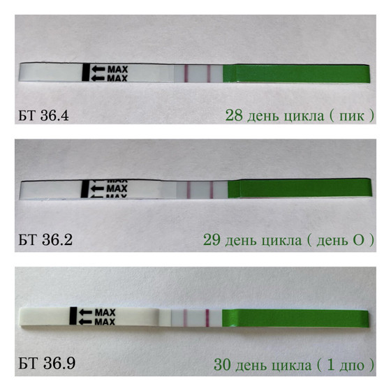 1️⃣ ДПО ( моей поздней овуляции )