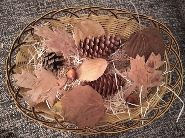 Тематическая неделька Осень 🍁. День 3. Дары осени🎃