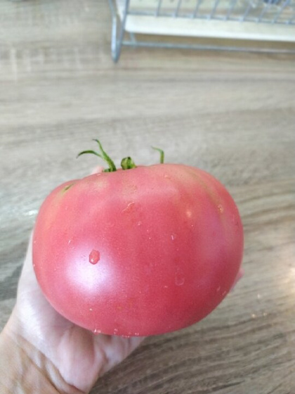 Сезон борща со своего