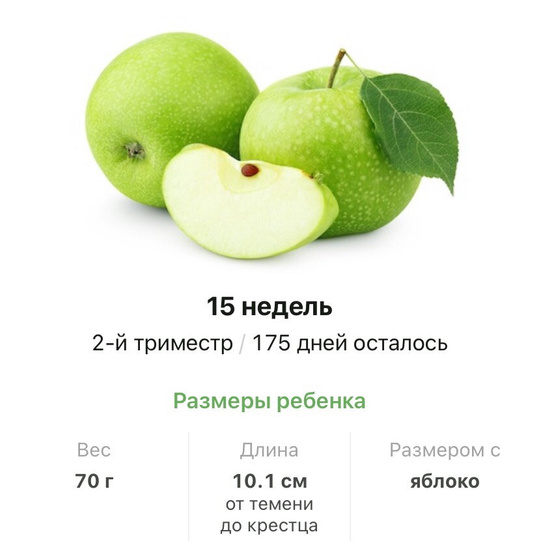 15 недель .