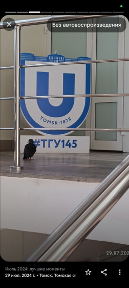 Подобрашка