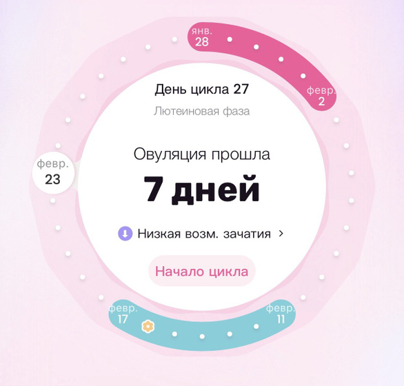 8 дней до ?