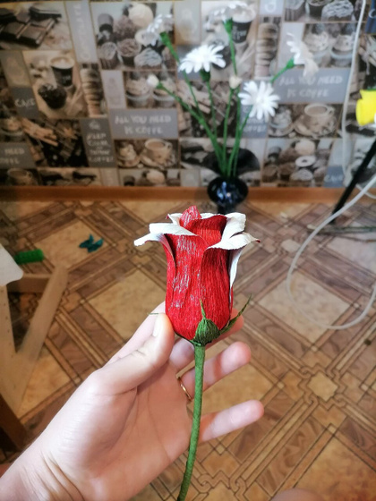 Девушки, добрый день!