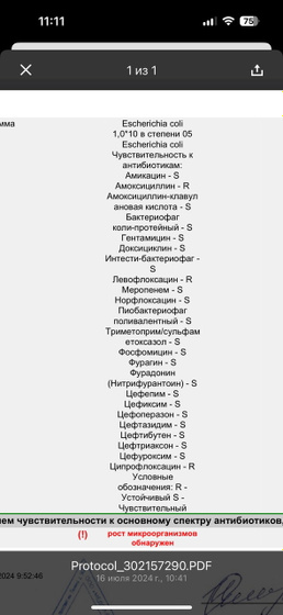 Кишечная палочка в моче