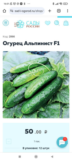 Ну что, кто уже
