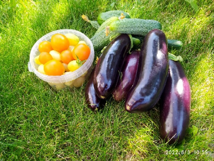 Девочки, садоводы.