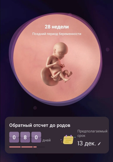 3 триместр 🎉
