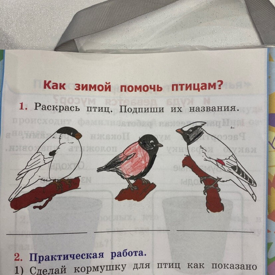 Помогите пожалуйста 🙂