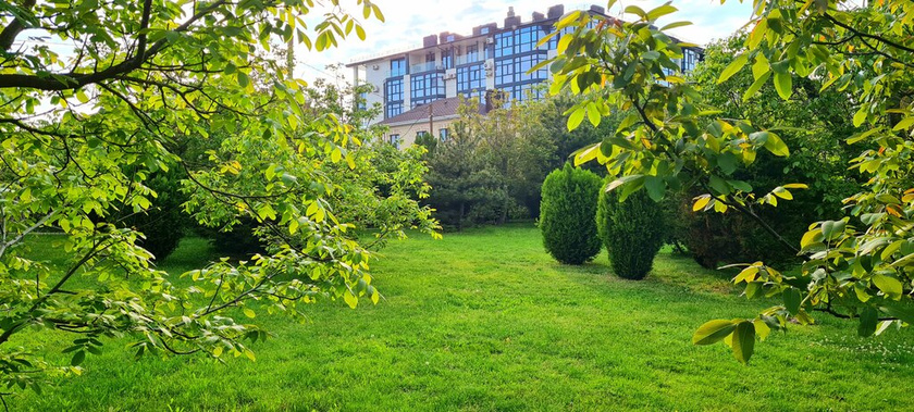 Парк 