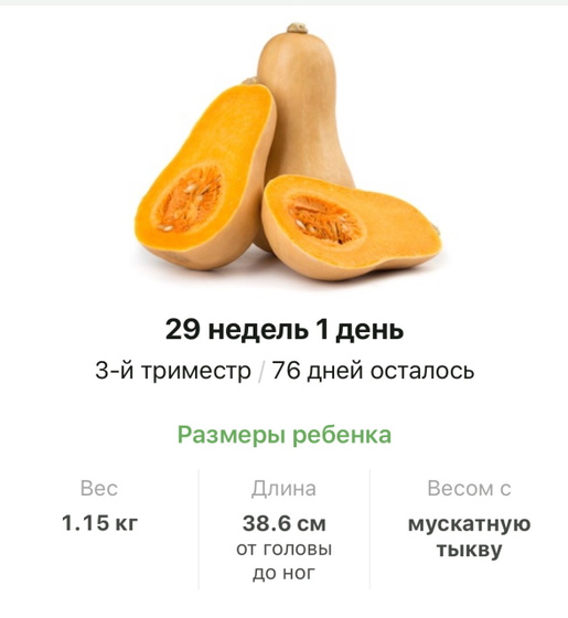 29 недель .
