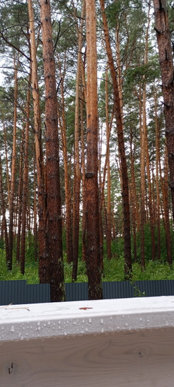 Готовлюсь к нг