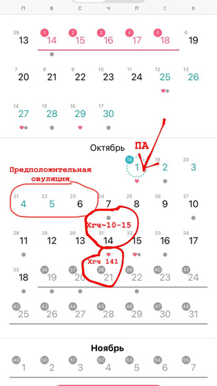Поздняя овуляция