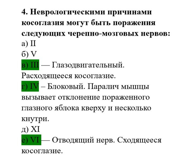 Анатомия