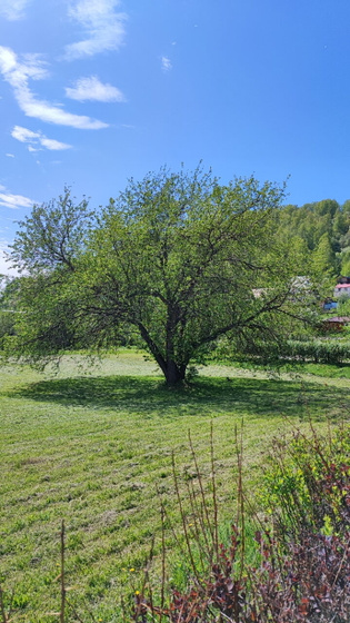 Немного красоты вам в