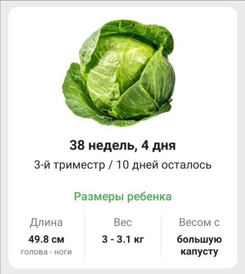10й день и 38,4 срок
