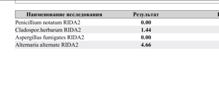 Анализы на аллергены. Как избавится от плесени?