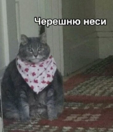 Это мой рай ???❤️