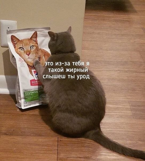🤣