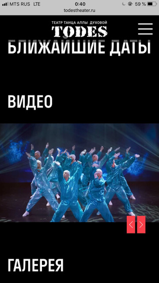 Шоу МЫ балета Тодес