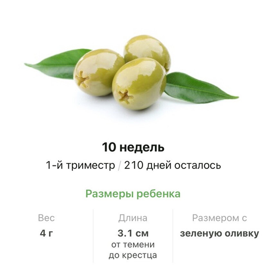 10 недель .