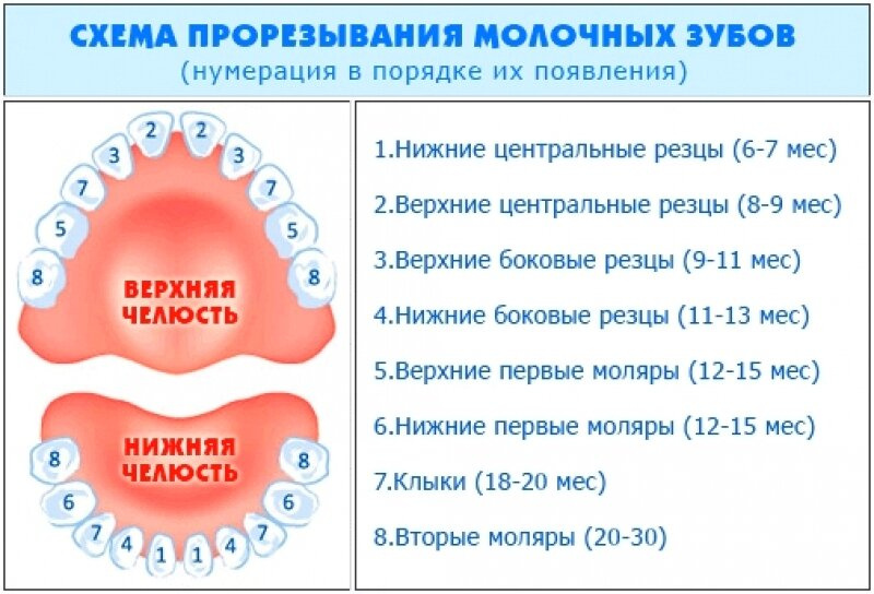 Зубы. Норма?
