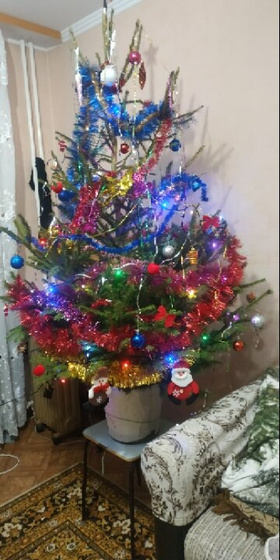 Нарядили ёлочку уже?)