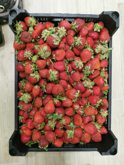 готовь сани летом 🍓