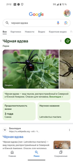 Пипец полный ?