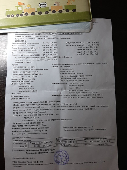 Добрый вечер. Узи 37 недель
