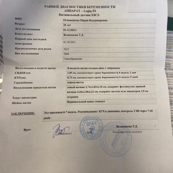 Узи (6 недель 1 день)