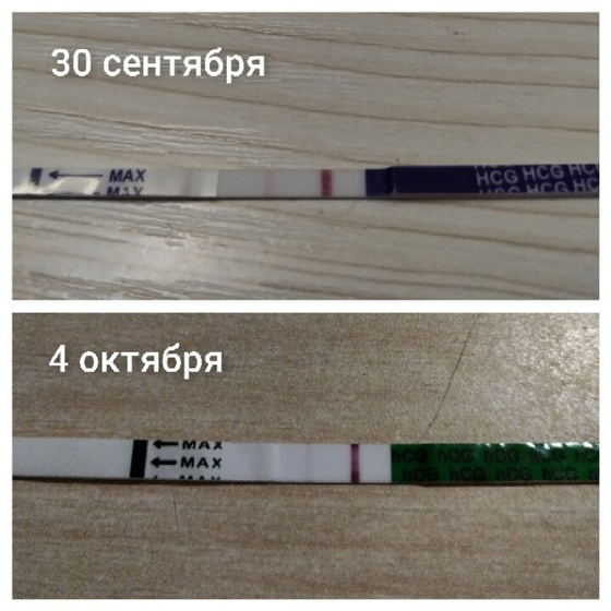Задержка 9 дней, сделала