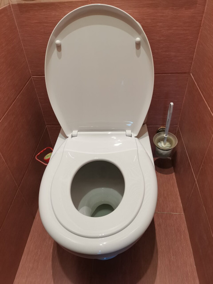 Стульчак на унитаз