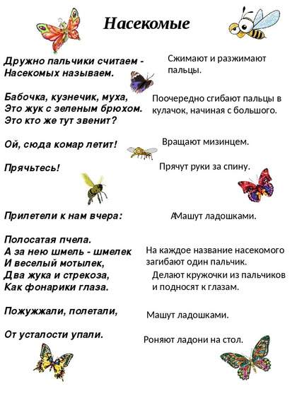 Тематическая неделька Насекомые. День 1. Знакомство с насекомыми.🦋🐞🐝🐛