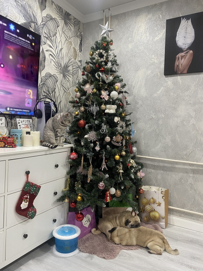С Новым годом!!!❄️❄️❄️Чтобы