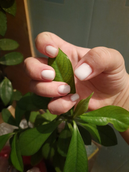 Мучаю ногти