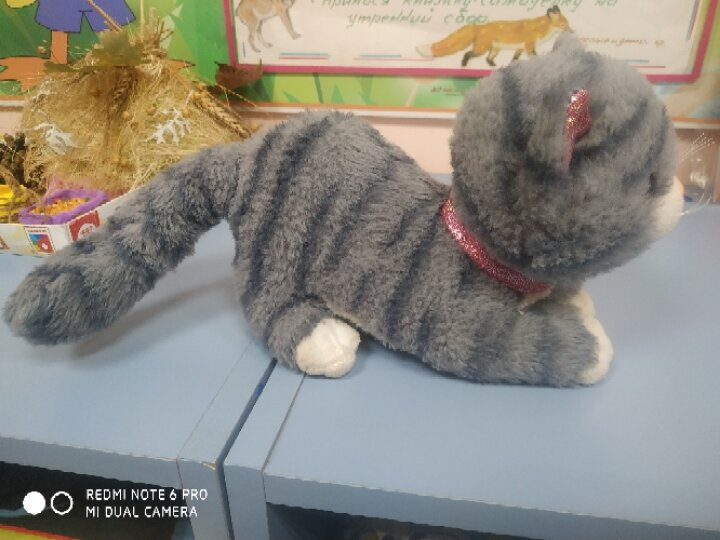 Очень просится эта кошка