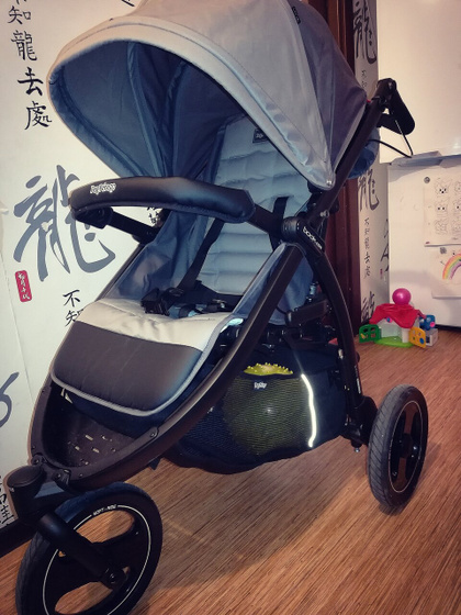 Peg Perego Book cross - реально зимой на ней проехать?