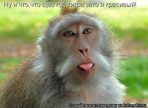 Новогодняя игра 
