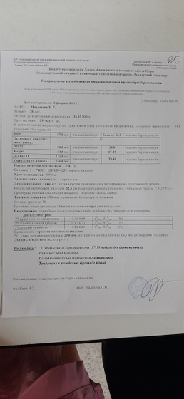 УЗИ слонёнка