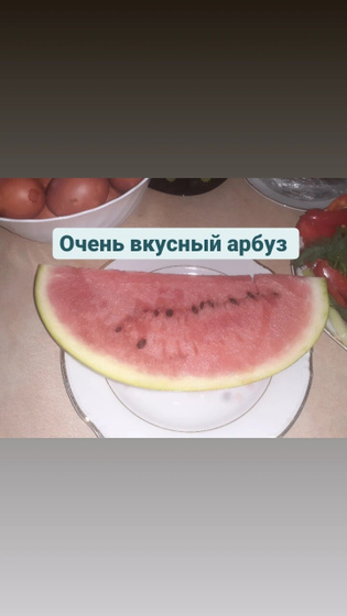 Арбуз
