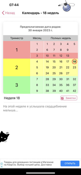 Вопросы по сроку
