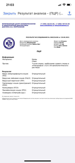 Вет. Помощь, пожалуйста посмотрите
