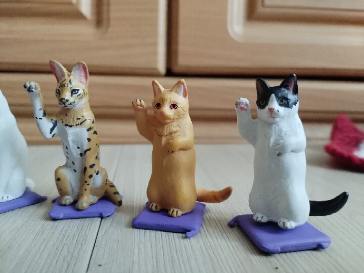 Котики из КБ??