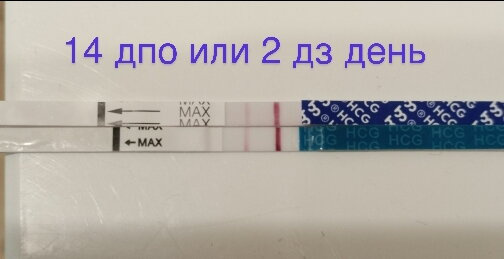 Сегодня 20дпо?Доброе утро??? Вчера